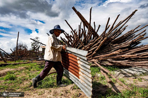 منتخب تصاویر امروز جهان - 23 مهر 1401