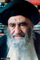 آیت الله العظمی سید‌ شهاب‌ الدین مرعشی‌ نجفی(ره) به روایت تصویر