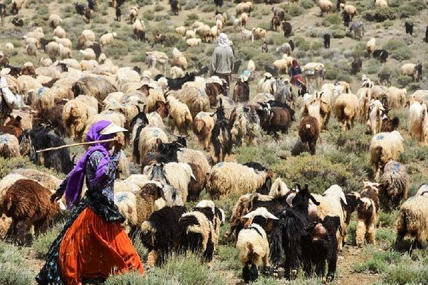 دشواری های زندگی عشایر در فصل کم آبی