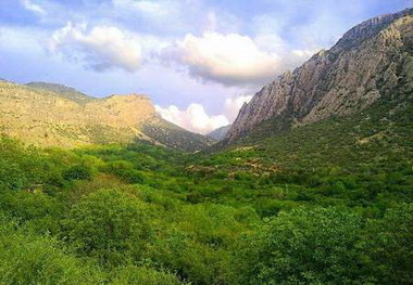 آذربایجان غربی رتبه سوم کشور را در تولید علوفه داراست