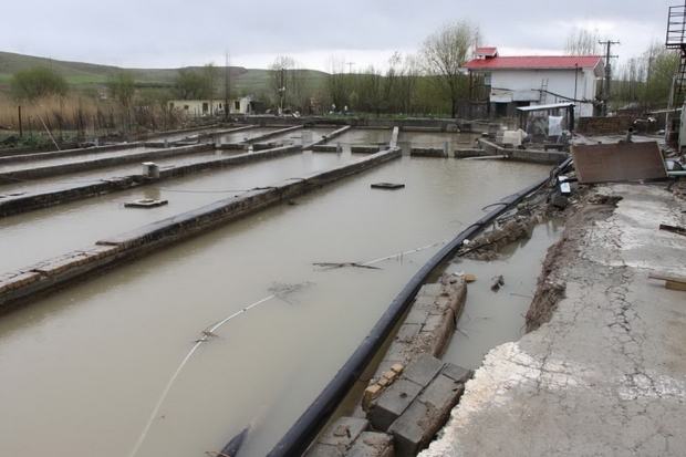 سیل به 53مزرعه پرورش ماهی مازندران خسارت زد