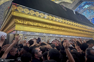 هم قدم با زائران اباعبدالله الحسین (ع)؛ حرم امیر المومنین (ع)