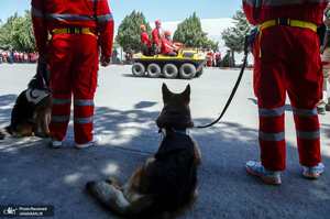 منتخب تصاویر امروز جهان - 22 اردیبهشت 1401