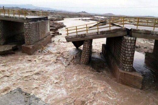 سیل وام‌های مشاغل خانگی را با خود برده است!