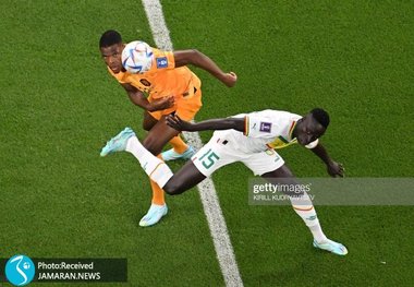 جام جهانی 2022| هلند با پیروزی شروع کرد+ عکس و ویدئوی گل ها