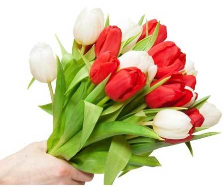 اهمیت قدردانی از شریک زندگی