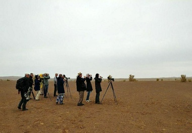 پرنده‎‎ شناسان سوئدی وارد خوزستان شدند