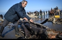 تورهای پاره، سهم صیادان از ماهیگیری پس از سیل در مازندران (5)