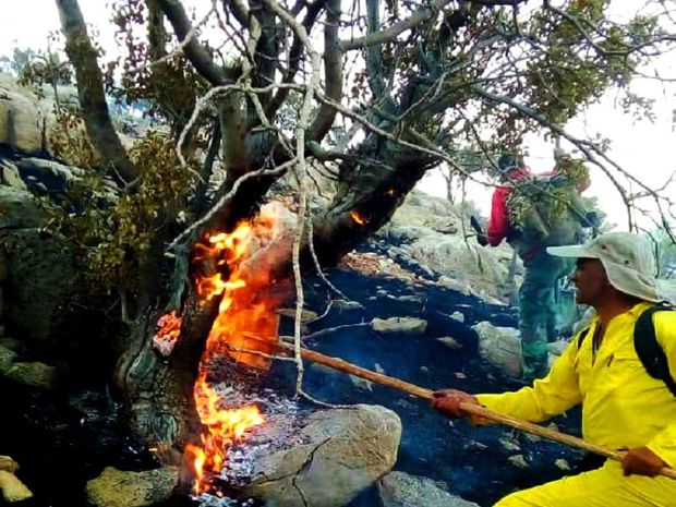 آتش سوزی جنگل‌های اقلید ادامه دارد