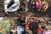 عکس تلخ از بقایای سقوط هواپیمای اوکراینی