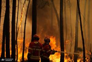 منتخب تصاویر امروز جهان- 6 مرداد