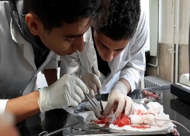 ورود دانش آموزان نخبه کشور به حوزه علم پزشکی در کرج