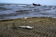 کاهش صید ماهی در دریای خزر