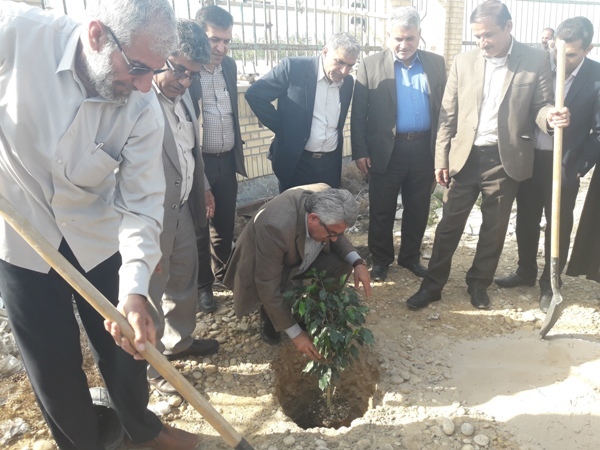 درختکاری راه برون رفت از معضل آلودگی هواست