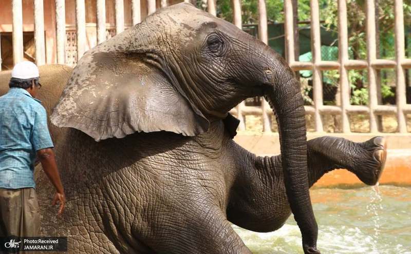 منتخب تصاویر امروز جهان- 12 فروردین 1400