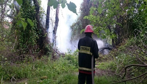 پوشش ۴۱ مورد حریق، حادثه و خدمات ایمنی توسط آتش‌نشانان شهر باران
