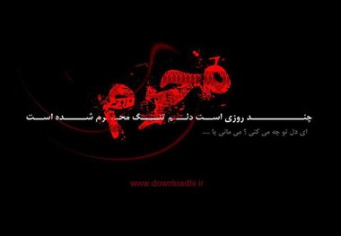 کنگره شعر محرم فرصتی برای تعامل بین شاعران و مرثیه سرایان است