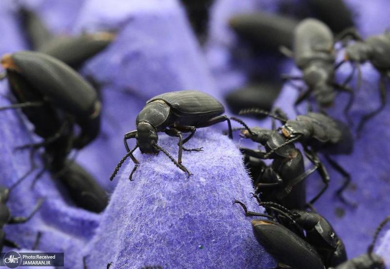 گزیده روزنامه های 10 خرداد 1400