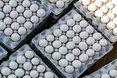 قیمت مصوب تخم مرغ در دومین هفته خرداد ماه 1402/ قیمت تخم مرغ برای مصرف کنندگان چقدر؟