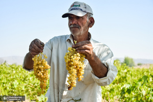 منتخب تصاویر امروز جهان- 6 مهر 1400