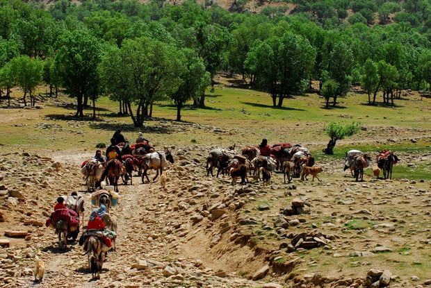 ۳۵ هکتار از ایل‌راه‌های کهگیلویه وبویراحمد تصرف شد