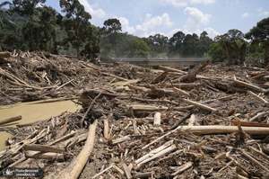 منتخب تصاویر امروز جهان- 7 دی 1400