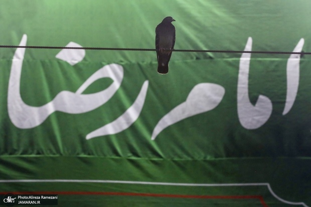 زیارت مخصوصه امام رضا(ع) کدام زیارت است؟/متن زیارت مختصر امام رضا(ع)