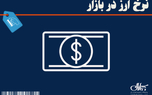 جدیدترین قیمت لیر و سایر ارزها در بازار 24 شهریور 1405