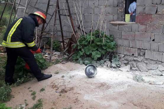 پیک نیک 7 نفر را راهی بیمارستان کرد
