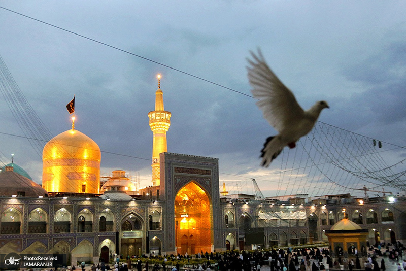 منتخب تصاویر امروز جهان- 26 تیر