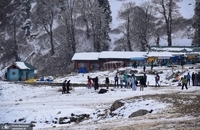 تصاویری زیبا از بارش برف تازه در کشمیر هند (3)