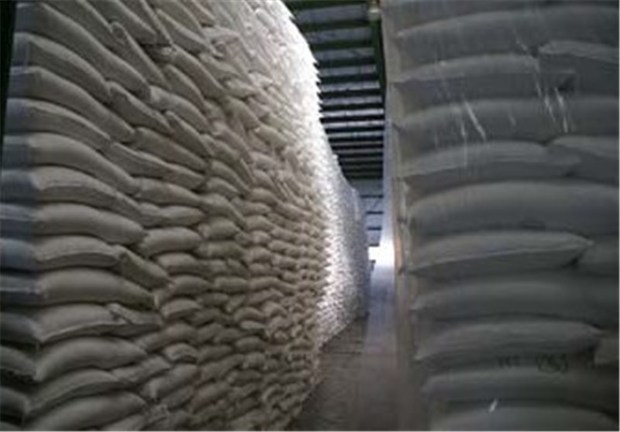 کشت و صنعت امیرکبیر در تولید شکر رکورد زد
