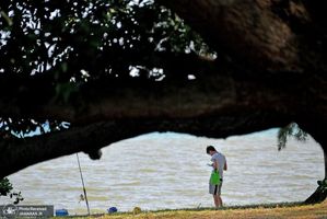 منتخب تصاویر امروز جهان- 21 مرداد