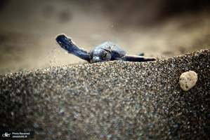 منتخب تصاویر امروز جهان- 22 مرداد 1400