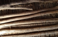 کوهدشت لرستان