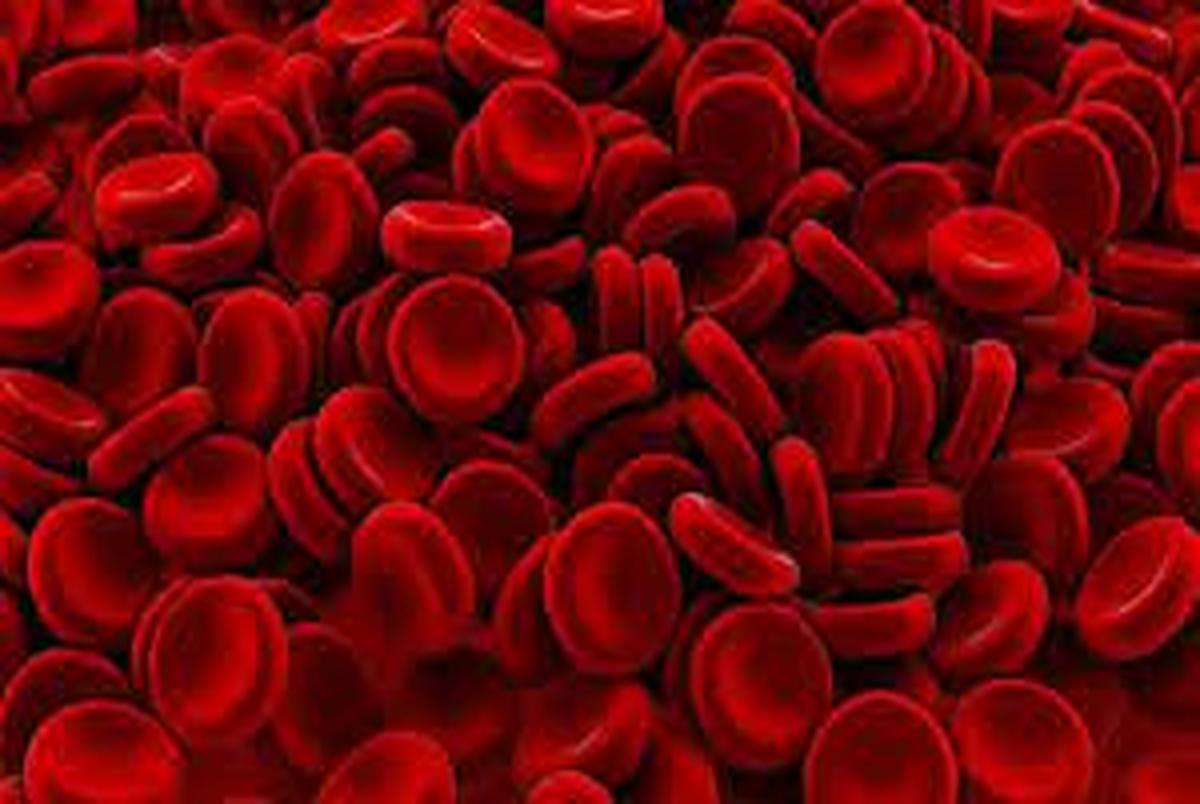 
چند روش موثر برای افزایش هموگلوبین خون