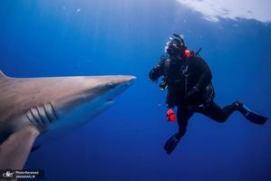 منتخب تصاویر امروز جهان - 31 اردیبهشت 1401