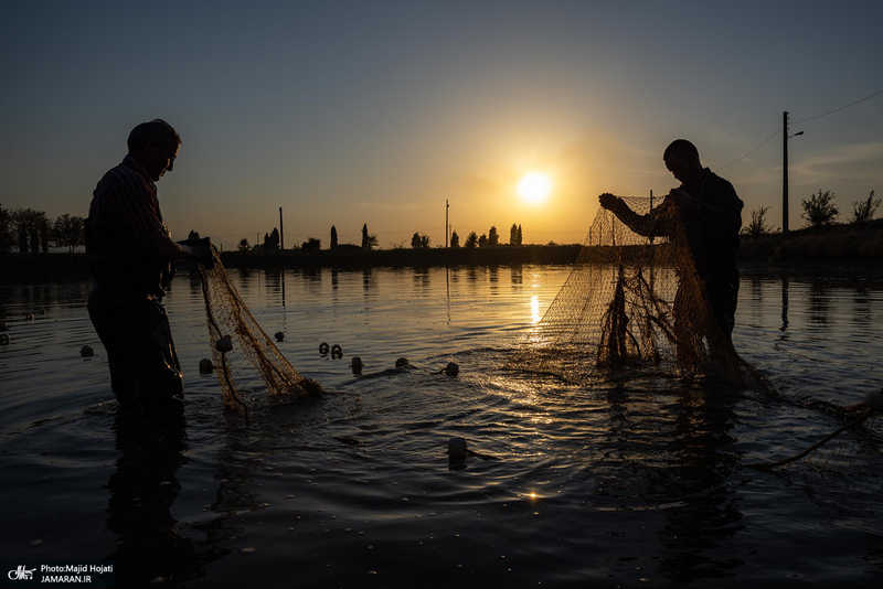 پرورش ماهی در آزادشهر استان گلستان