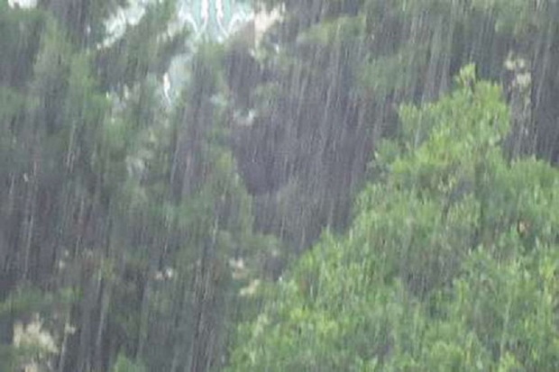 بارش پراکنده باران قزوین را فرا می گیرد