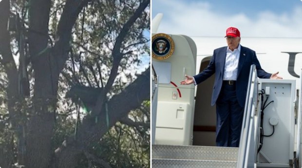  ترامپ قرار بود ترور شود؟! + عکس