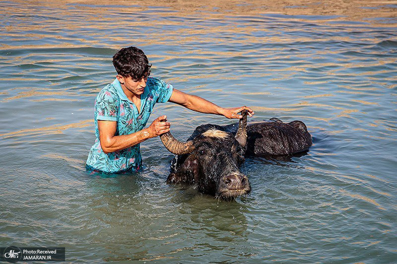 منتخب تصاویر امروز جهان - 1 خرداد 1401