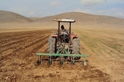 برداشت گندم در کشور آغاز شد