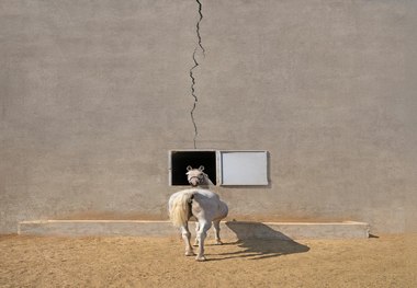 خوشرو عکاس برتر کانسپچوال (مفهومی) مسابقات 35AWARDS 2024 شد