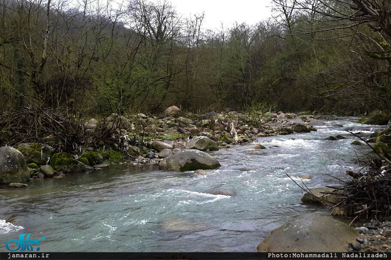 روستای امام زمین تنکابن 