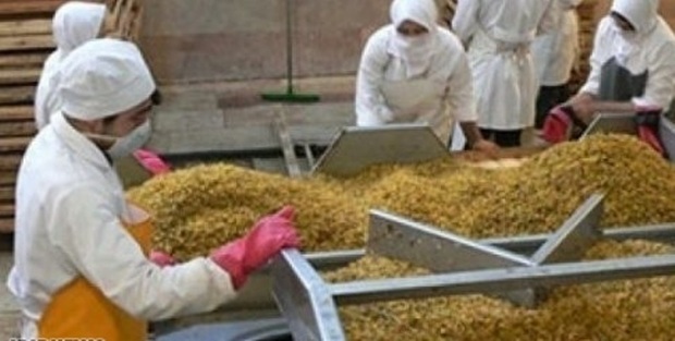 290 میلیون دلار محصولات کشاورزی از آذربایجان شرقی صادر شد