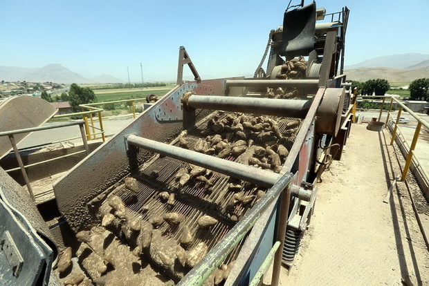 شرکت قند بیستون بخش دیگری از مطالبات کشاورزان را پرداخت می کند