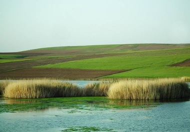 برنامه مدیریت جامع برای 3 تالاب آذربایجان غربی تدوین شده است