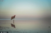 پیاده‌روی زائران اربعین از راس البیشه به مقصد کربلا (4)