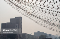 دود هور دوباره اهواز را محاصره کرد (32)