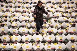 منتخب تصاویر امروز جهان- 17 دی